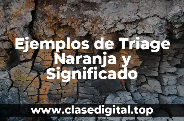 Ejemplos de Triage Naranja y Significado