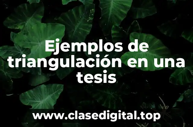 Ejemplos de triangulación en una tesis