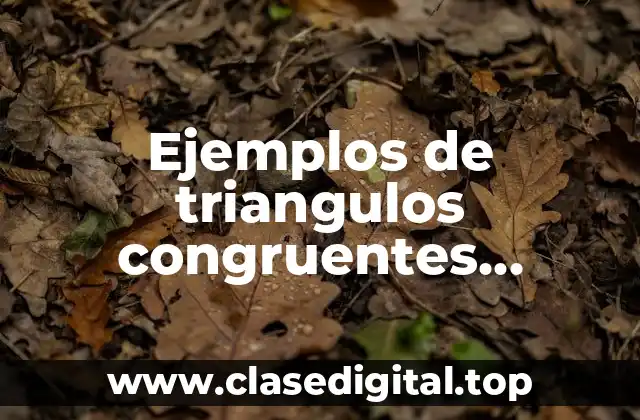 Ejemplos de triangulos congruentes resueltos