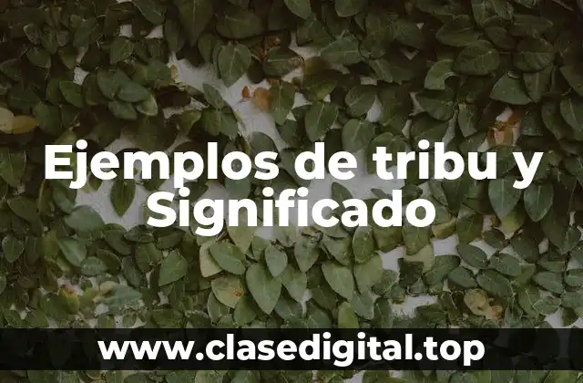 Ejemplos de tribu y Significado