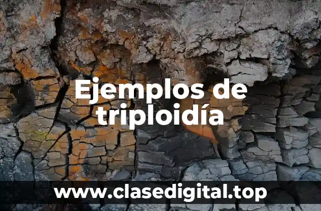 Ejemplos de triploidía