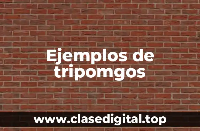 Ejemplos de tripomgos