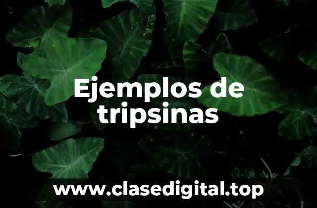 Ejemplos de tripsinas
