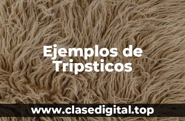 Ejemplos de Tripsticos