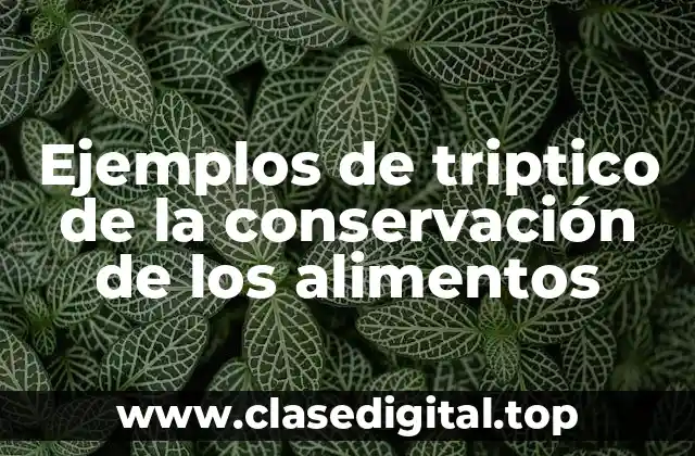 Ejemplos de triptico de la conservación de los alimentos