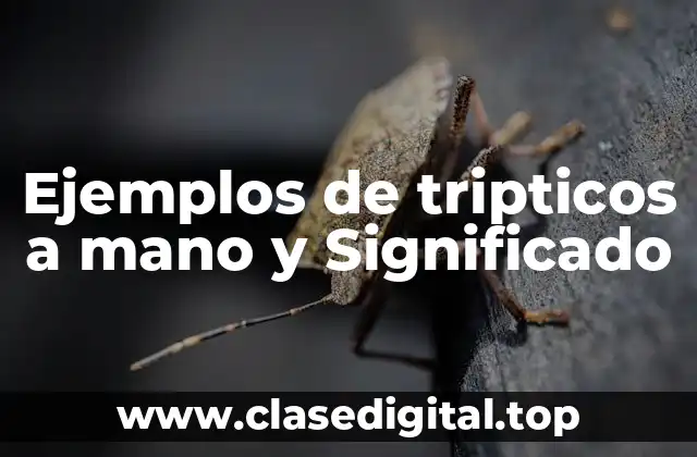 Ejemplos de tripticos a mano y Significado