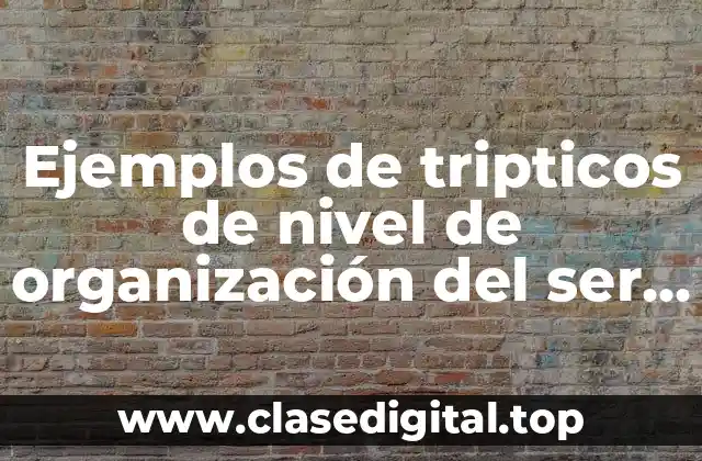 Ejemplos de tripticos de nivel de organización del ser humano