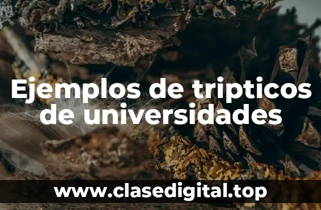 Ejemplos de tripticos de universidades