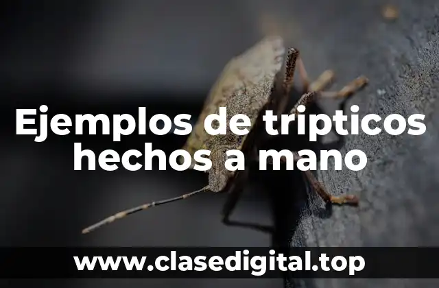 Ejemplos de tripticos hechos a mano