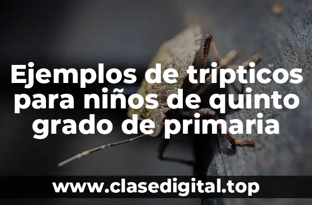 Ejemplos de tripticos para niños de quinto grado de primaria