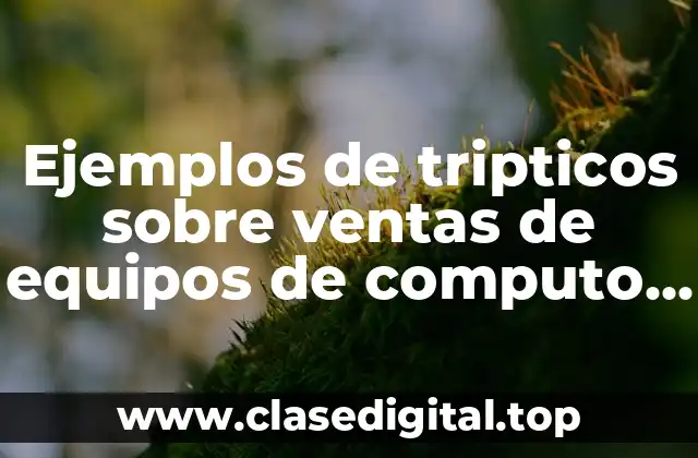 Ejemplos de tripticos sobre ventas de equipos de computo escuela