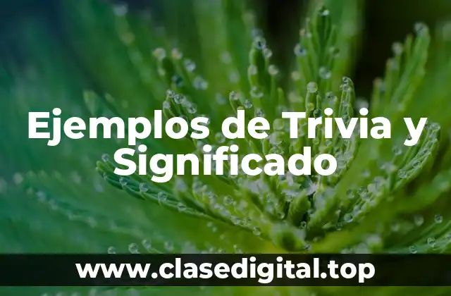 Ejemplos de Trivia