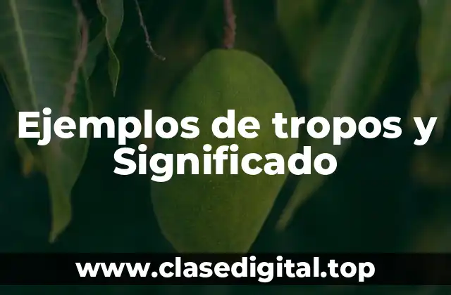 Ejemplos de tropos y Significado