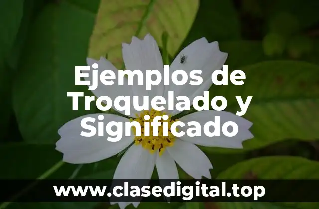 Ejemplos de Troquelado y Significado