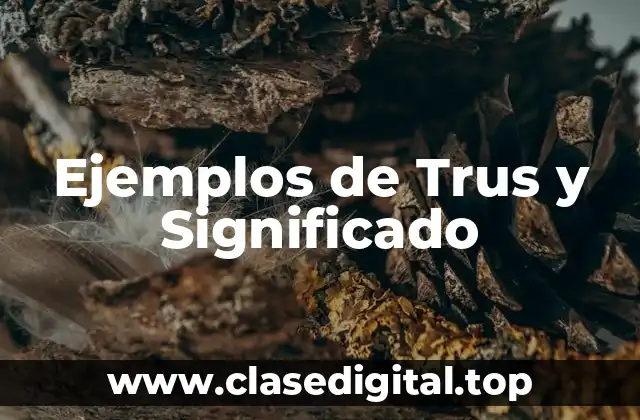 Ejemplos de Trus