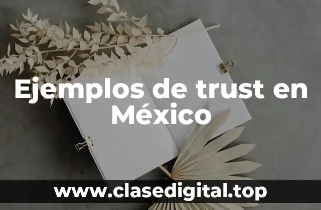 Ejemplos de trust en México