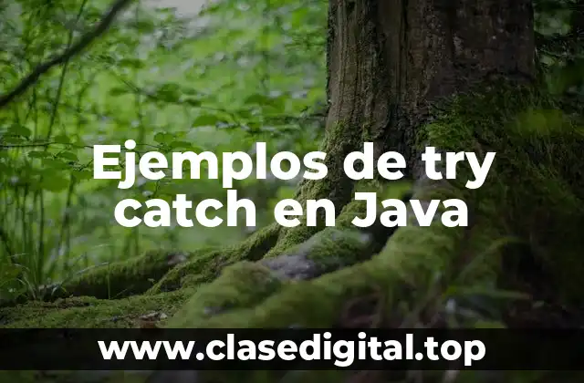 Ejemplos de try catch en Java