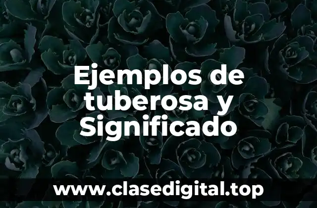 Ejemplos de tuberosa y Significado