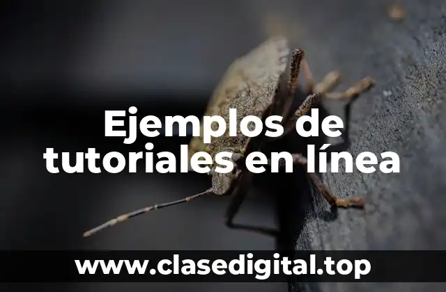 Ejemplos de tutoriales en línea
