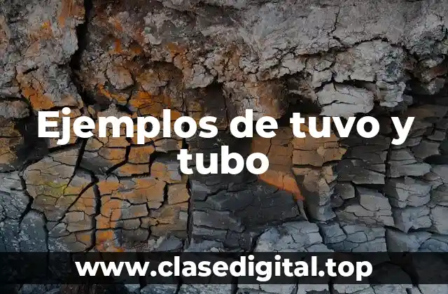 Ejemplos de tuvo y tubo