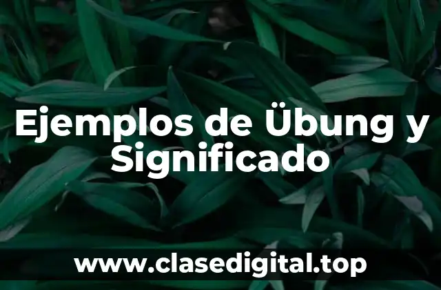Ejemplos de Übung y Significado