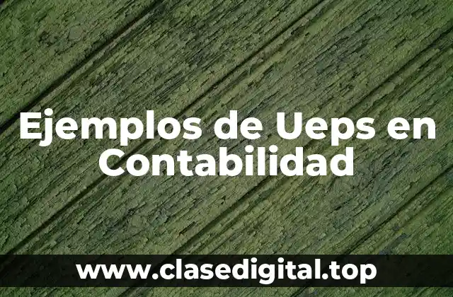 Ejemplos de Ueps en Contabilidad
