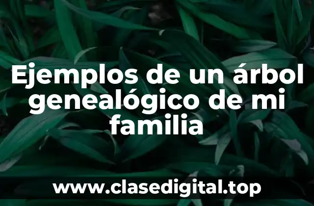 Ejemplos de un árbol genealógico de mi familia
