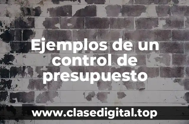 Ejemplos de un control de presupuesto