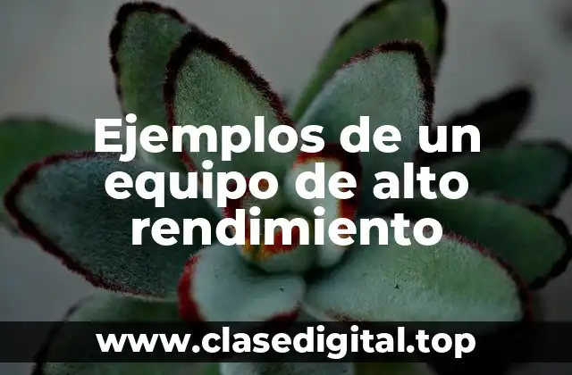 Ejemplos de un equipo de alto rendimiento