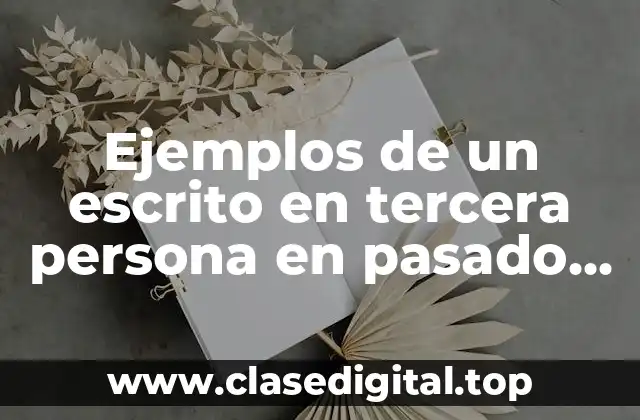 Ejemplos de un escrito en tercera persona en pasado simple