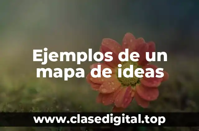 Ejemplos de un mapa de ideas
