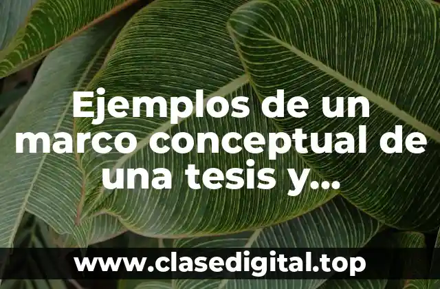 Ejemplos de un marco conceptual de una tesis y Significado