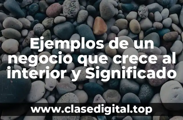 Ejemplos de un negocio que crece al interior y Significado