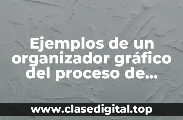 Ejemplos de un organizador gráfico del proceso de planeación estratégica