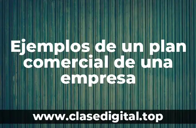 Ejemplos de un plan comercial de una empresa