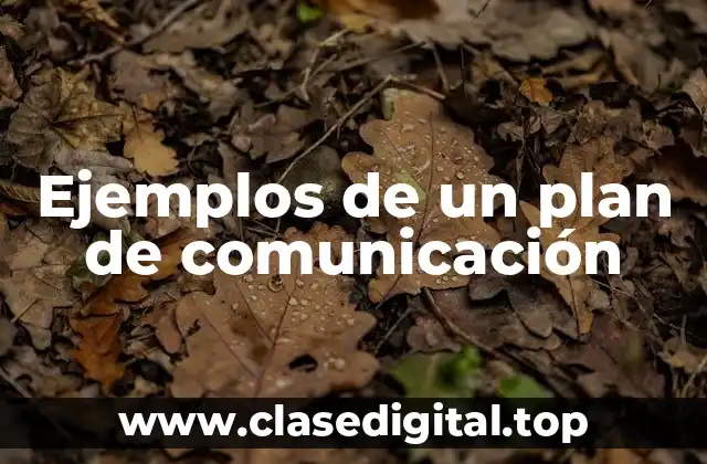 Ejemplos de un plan de comunicación