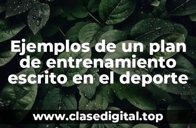 Ejemplos de un plan de entrenamiento escrito en el deporte