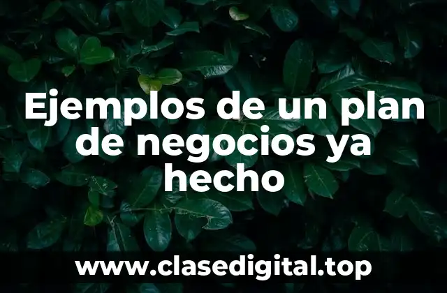 Ejemplos de un plan de negocios ya hecho