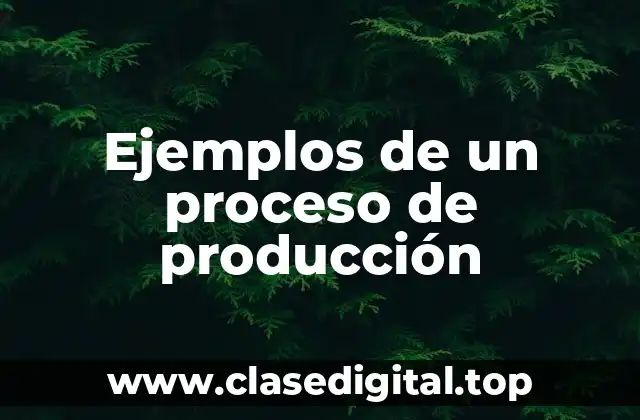 Ejemplos de un proceso de producción