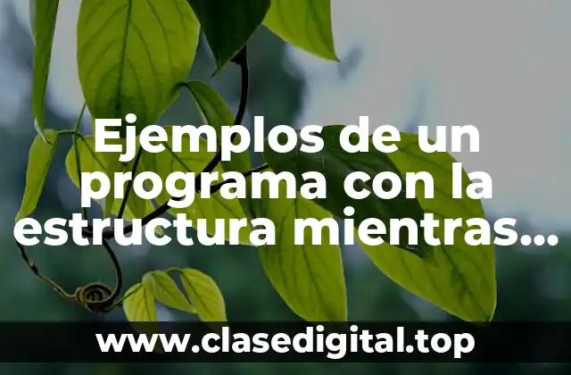 Ejemplos de un programa con la estructura mientras en PSEINT
