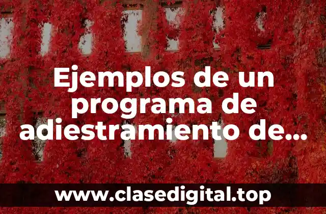 Ejemplos de un programa de adiestramiento de lean manufacturing IBM