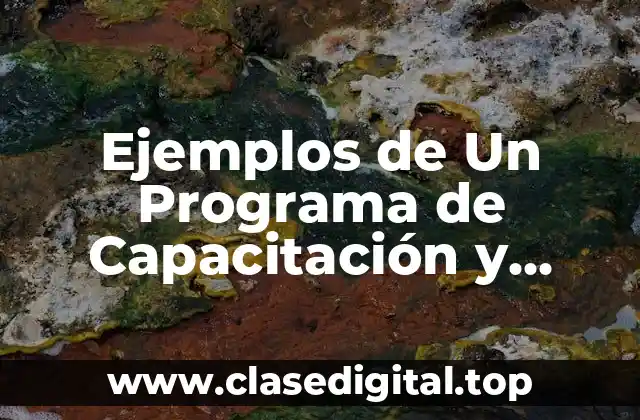 Ejemplos de Un Programa de Capacitación y Adiestramiento