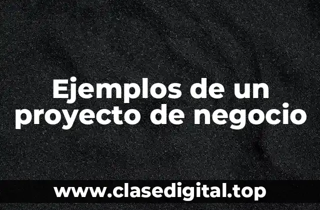Ejemplos de un proyecto de negocio