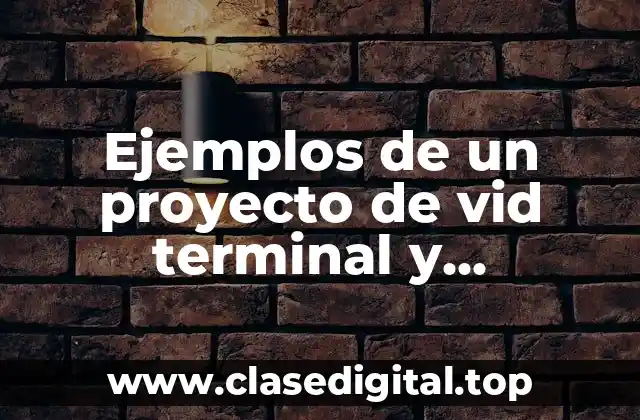 Ejemplos de un proyecto de vid terminal y Significado