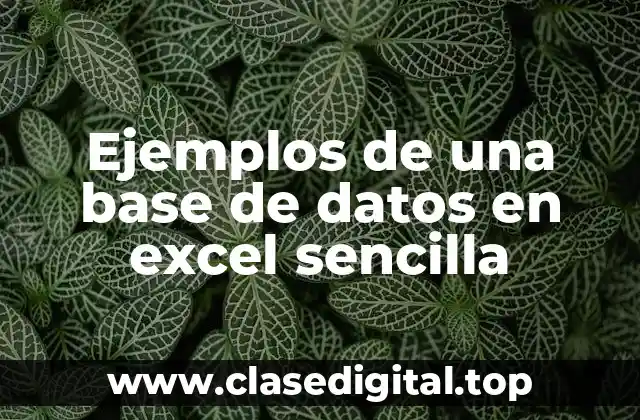 Ejemplos de una base de datos en excel sencilla