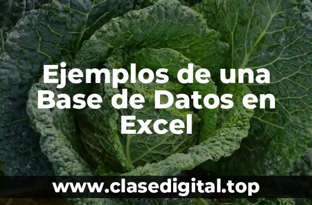 Ejemplos de una Base de Datos en Excel