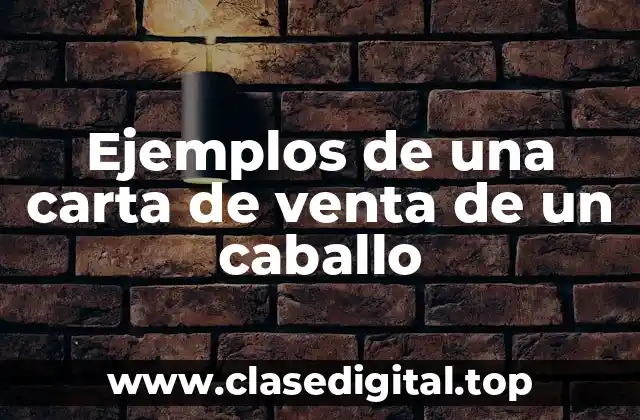 Ejemplos de una carta de venta de un caballo