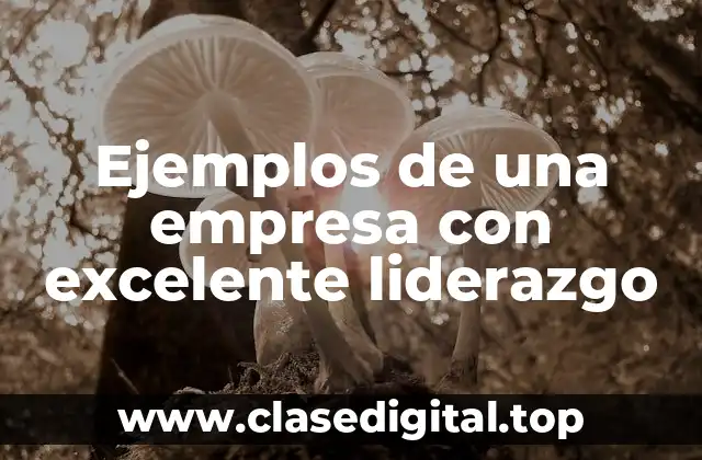 Ejemplos de una empresa con excelente liderazgo
