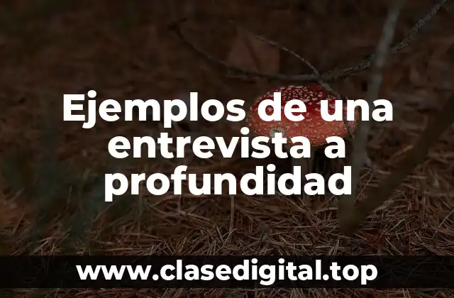 Ejemplos de una entrevista a profundidad