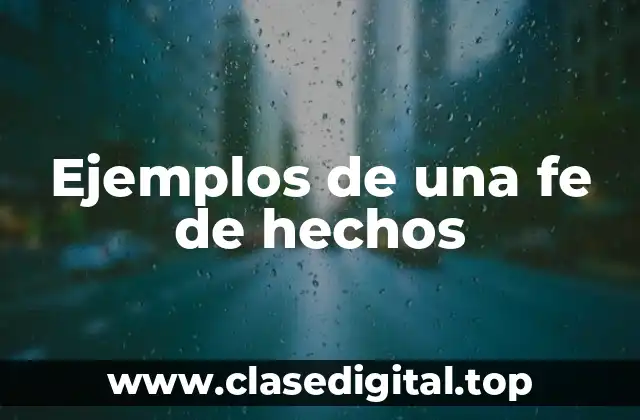 Ejemplos de una fe de hechos